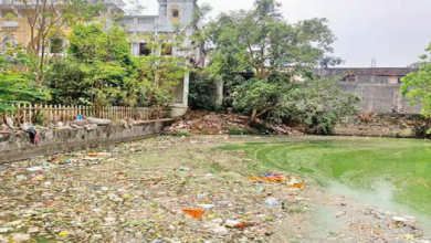 राजनांदगांव : सफाई के बाद बूढ़ासागर में दोबारा फैल रही गंदगी, फिर सफाई जरूरी…