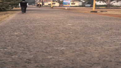 राजनांदगांव : पुष्पवाटिका रोड अब उखड़ चुकी, मरम्मत की जरूरत…