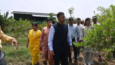 CG : पाम ऑयल खेती को बढ़ावा, कलेक्टर ने कृषि विज्ञान केंद्र में दिए विस्तार के निर्देश…