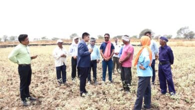 राजनांदगांव : कलेक्टर ने कन्हारपुरी के खेतों में पहुंचकर मौके पर सीमांकन कार्य का लिया जायजा