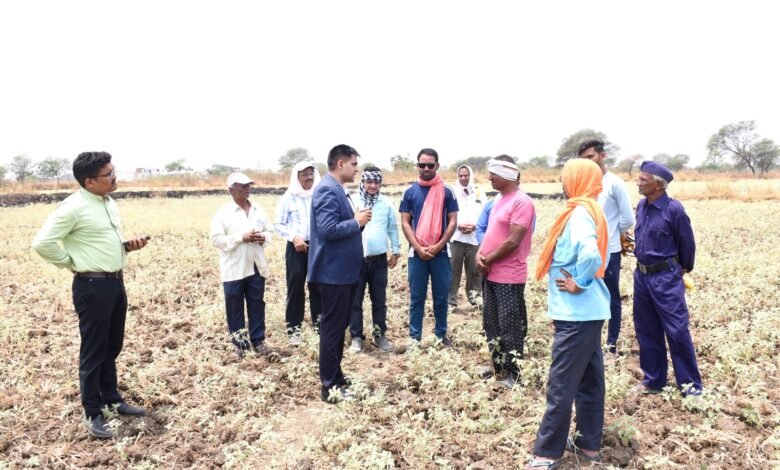 राजनांदगांव : कलेक्टर ने कन्हारपुरी के खेतों में पहुंचकर मौके पर सीमांकन कार्य का लिया जायजा