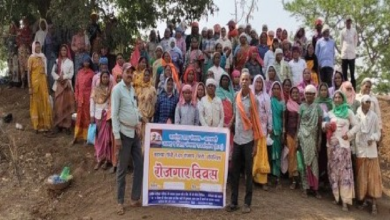 राजनांदगांव : ग्राम पंचायतों में चावल महोत्सव के साथ रोजगार दिवस एवं आवास दिवस का आयोजन …