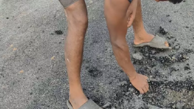 CG : सुरहुल गांव की पीएमजीएसवाई सड़क 10 दिन में उखड़ी, निर्माण गुणवत्ता पर उठे सवाल …