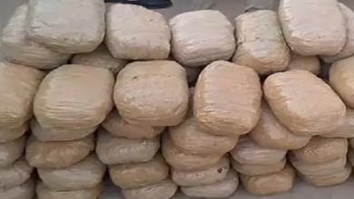 CG : गांजा तस्करी पर बड़ी कार्रवाई, 112 किलो गांजा के साथ 2 अंतरराज्यीय तस्कर गिरफ्तार …