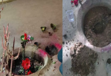 CG : मंदिर से शिवलिंग उठा ले गए चोर, चौंका देने वाली वारदात सामने आई …