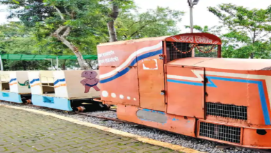 राजनांदगांव : पुष्पवाटिका का टॉय ट्रेन बंद, नहीं मिल रही सुविधा …