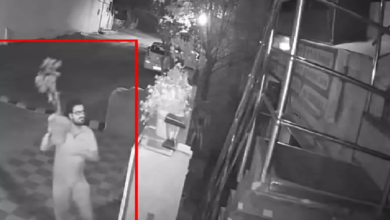 CG : टैगोर नगर में पौधों की चोरी, युवक CCTV में कैद …