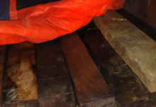 CG : लकड़ी के अवैध परिवहन पर कार्रवाई, पिकअप जब्त ...