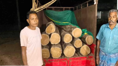 CG : अवैध सागौन परिवहन पर वन विभाग की बड़ी कार्रवाई, वाहन सहित लकड़ी जब्त …