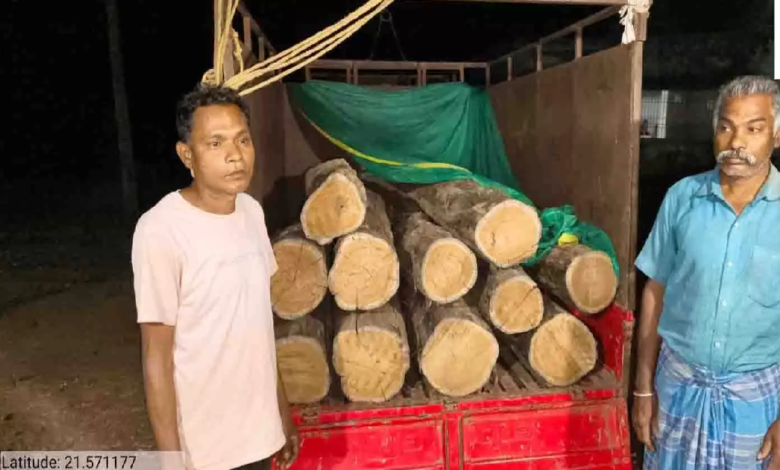 CG : अवैध सागौन परिवहन पर वन विभाग की बड़ी कार्रवाई, वाहन सहित लकड़ी जब्त …