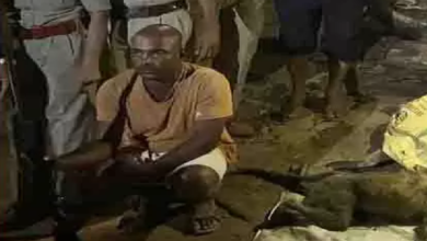 CG : दो लंगूरों को एयरगन से गोली मारकर उतारा मौत के घाट, ग्रामीण गिरफ्तार …