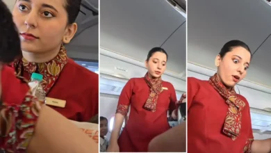 Air hostess Viral Vide