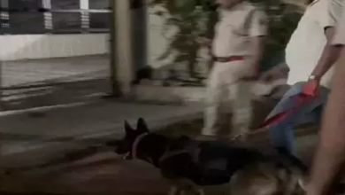 CG : कांग्रेस नेता के घर पुलिस की रेड, मस्तूरी गोलीकांड में चल रहा फरार …