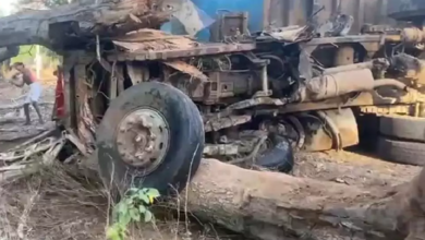 CG : ट्रेलर से पेड़ गिरा, हाईटेंशन लाइन भी क्षतिग्रस्त …