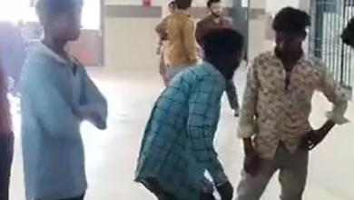 CG : पागल कुत्ता पकड़ से बाहर, तखतपुर में 16 लोगों को काट चूका है अब तक …