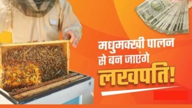 beekeeping business