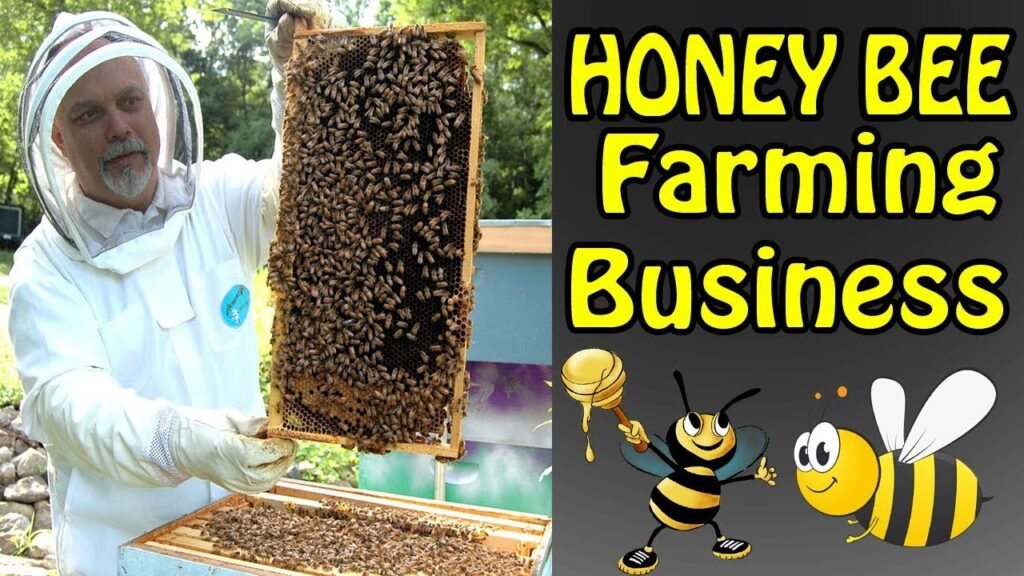 Beekeeping Business