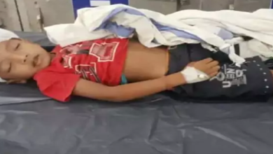 CG : शादी के दौरान हादसा, बिजली का खंभा गिरने से 6 साल के बच्चे की मौत …