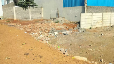 CG : खुलकर अवैध प्लॉटिंग, कार्रवाई नहीं …