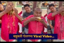 Chachha Viral Video