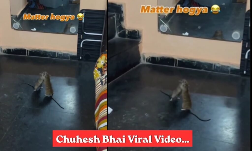 Chuhesh Viral Video