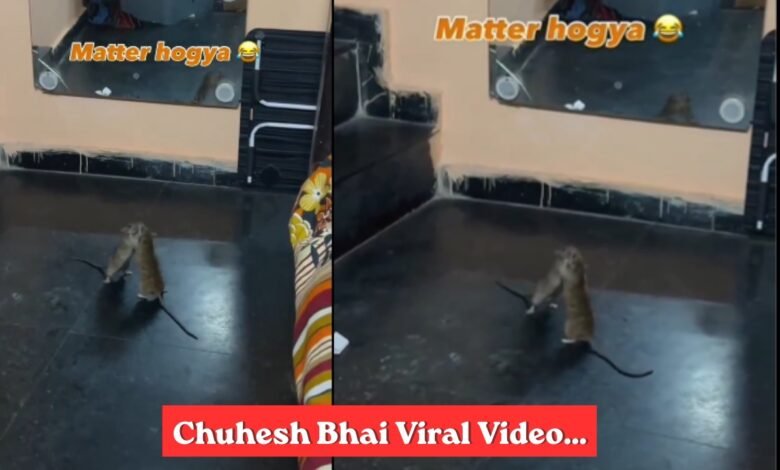 Chuhesh Viral Video