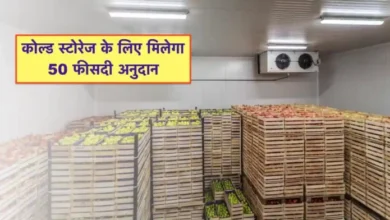 Cold Storage Subsidy