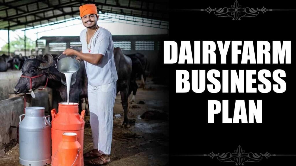 Dairy Farming Business
