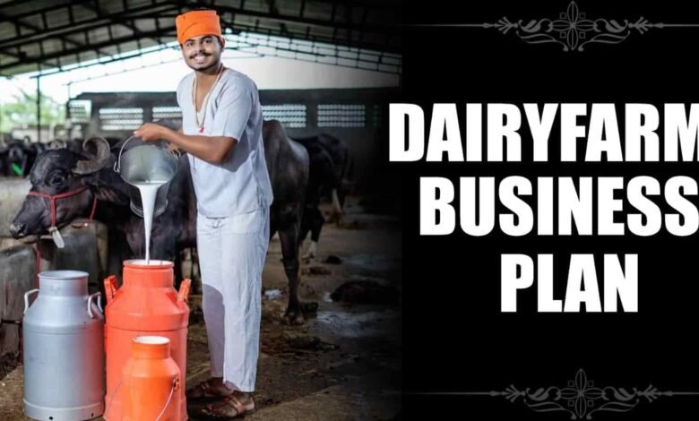 Dairy Farming Business