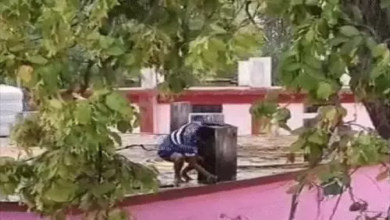 CG : अधिकारी के पालतू तोते को पकड़ने जुटा रहा अमला, रेस्क्यू के चक्कर में पानी की बर्बादी …