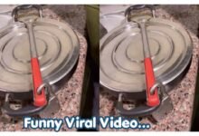 Funny Viral Video