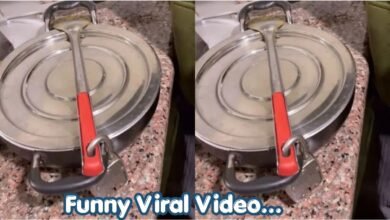 Funny Viral Video