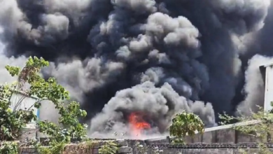 CG : प्लास्टिक फैक्ट्री में लगी आग, मौके पर पहुंची फायर ब्रिगेड …