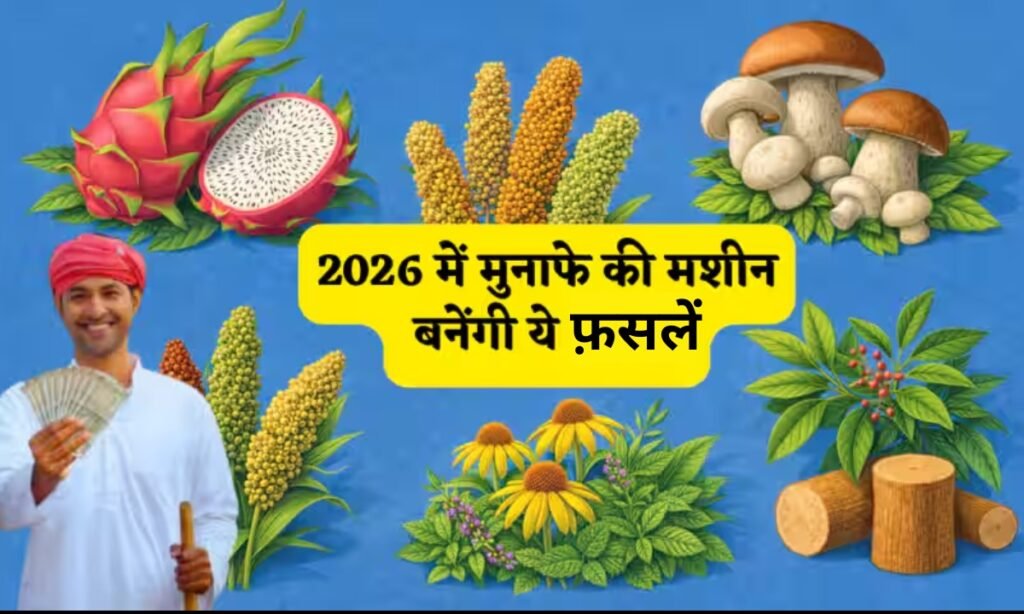 High Profit Crops 2026