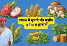 High Profit Crops 2026