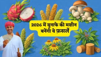 High Profit Crops 2026