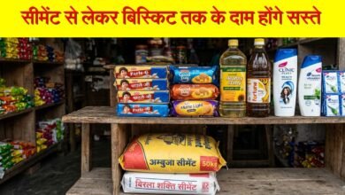 India Manufacturing Sector