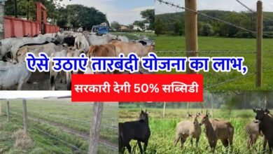 Kisan News