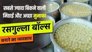 Lychee Rasgulla Business Idea