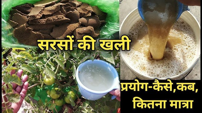 Mustard Cake Fertilizer