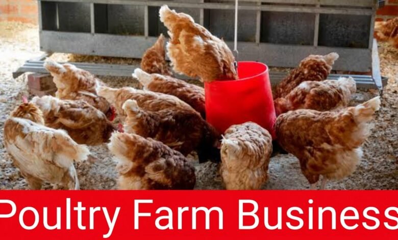 Poultry Farm Business