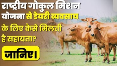 Rashtriya Gokul Mission