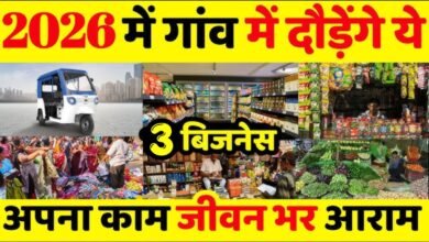 Top 3 Business Ideas