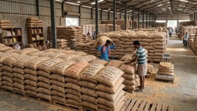 Wheat-Rice Stocks 2026: