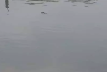 CG : खदान के कर्मचारी की लाश तालाब में मिली …