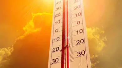 CG : तापघात से बचाव के लिए एडवाइजरी जारी …