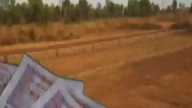 CG : कोटवारी जमीन की बिक्री पर लगेगा पूर्णतः प्रतिबंध …