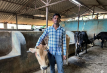 ललित यादव डेयरी फार्म दंतेवाड़ा छत्तीसगढ़