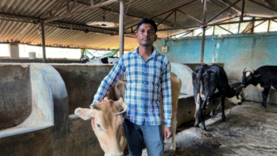 ललित यादव डेयरी फार्म दंतेवाड़ा छत्तीसगढ़