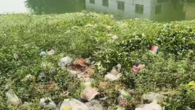 राजनांदगांव : एसटीपी का बेस ही बना, बूढ़ासागर में आ रहा नालियों का गंदा पानी…